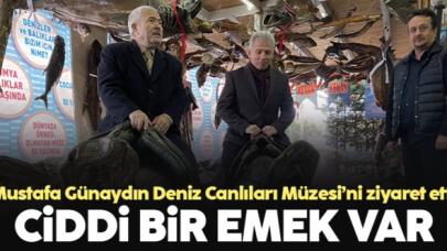 AK Parti Beylikdüzü İlçe Başkanı Mustafa Günaydın: Burada ciddi bir emek var