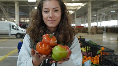 Beylikdüzü’nde organik gıdaya ekonomik erişim