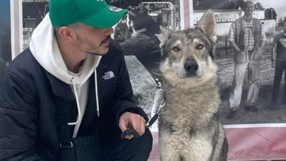 "Başakşehir'deki aç kurtlar" gerçekte Çekoslovak kurt köpeği çıktı