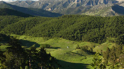 Anamas Coğrafyasının Bileşenleri (2)