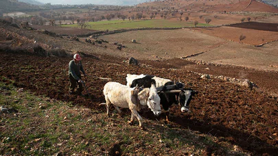 Fırat'ın Kenarında