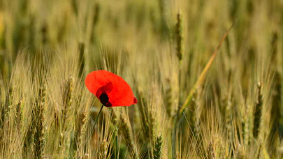 Kırka Yolu'nun Eski Yolcuları İle Buluştuk