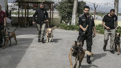 'Hassas burunlar' zehir tacirlerine geçit vermiyor