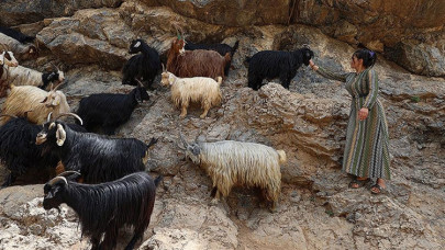 Hakkari'de berivanların dağlardaki süt mesaisi