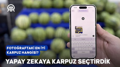 Yapay zekaya karpuz seçtirdik | Doğru seçimi yapabildi mi?