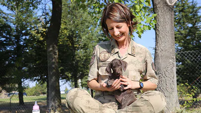 Jandarmanın "görev ortakları" sevgiyle eğitiliyor