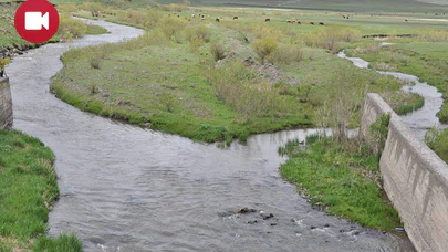 AYM'den 'Temiz Su İnsan Hakkıdır' Kararı