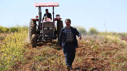 Üniversitede rektör, tarlada çiftçi