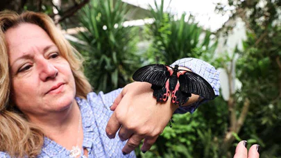İngiltere'de gördüğü kelebek çiftliğini İstanbul'da kurdu