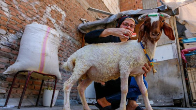 Çocuklarının depremin travmasını atlatması için aldıkları kuzu evin yeni üyesi oldu