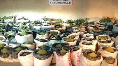 Lice'de 5 ton 81 kilogram esrar, 14 milyon 169 bin 150 kök kenevir ele geçirildi