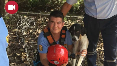 Kuyuya Düşen 'Çopur' İtfaiye Tarafından Kurtarıldı