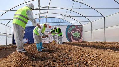2 milyon sebze fidesi toprakla buluşturuldu