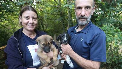 Bakıma muhtaç sokak hayvanlarını iyileştirip sahiplendiriyorlar