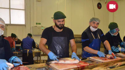 Uzakdoğu'un somonu Karadeniz'den