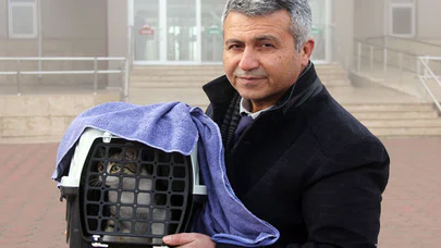 Kedisiyle Mahkemeye Geldi