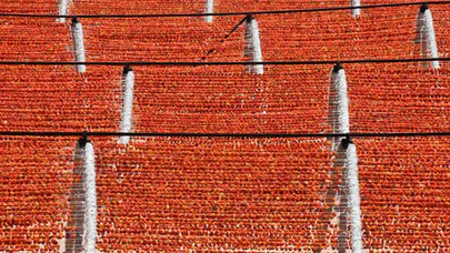 Rengarenk 'Antep kurutmalıklar' tezgahlara asıldı