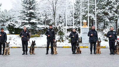 Operasyonların 'gizli kahramanı' dedektör köpekler