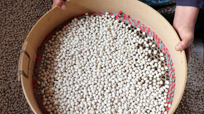 Kuru fasulyede Suşehri ve İspir arasında rekabet yaşanıyor