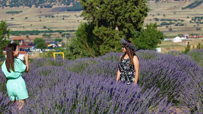 Kuyucak'ta hedef lavanta vadisi oluşturmak