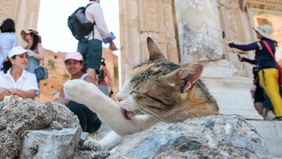 Antik Kentin Sahipleri Turistleri Ağırlıyor