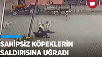 Nevşehir'de sahipsiz köpeklerin 69 yaşındaki kişiye saldırması güvenlik kamerasında
