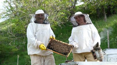 Bingöllü arıcı çift 30 yıldır "en iyi bal" için mesai yapıyor