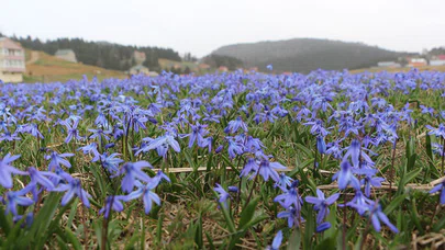 "Mor Yayla" Elbisesini Giydi