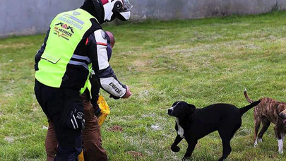İHH Gönüllü Motorize Ekibi sokak hayvanlarına yiyecek ulaştırıyor