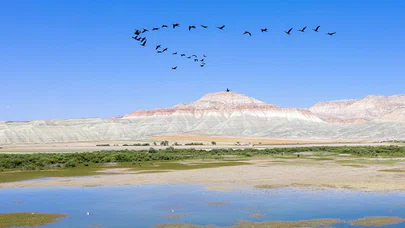 Türkiye'nin büyüleyen güzelliği: Kuş cennetleri