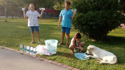 Minicik Yürekleriyle Sokak Hayvanları İçin Öyle Bir Şey Yapıyorlar Ki....