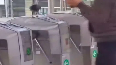 Karga Akbil Kontrolü Yaptı