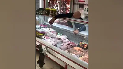 Kasap İle Kedinin Diyaloğu Sosyal Medyada Paylaşım Rekoru Kırıyor