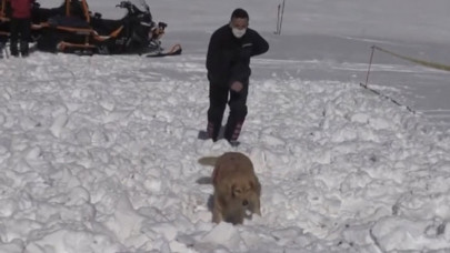 Arama kurtarma köpeği 'Girgin' jandarmaya hayat kurtaran operasyonlarda güç katıyor