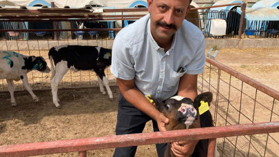 TKDK desteğiyle robotik sistemli süt tesisi kurarak elektriğini de üretmeye başladı