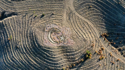 'Ay-yıldız' projeli ormana 3 yılda 55 bin fidan dikildi