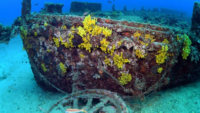 Çanakkale Savaşları'nda batan 'HMS Majestic' gemisinin batığı görüntülendi