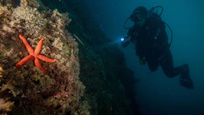 Kuşadası dalış turizminde yeniden hareketlendi