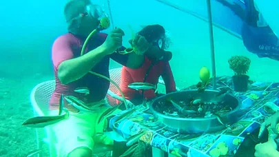 Denizin Altında Midye Tava Keyfi