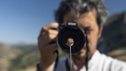 Doğasever akademisyen Tunceli dağlarında endemik bitkilerin izini sürüyor