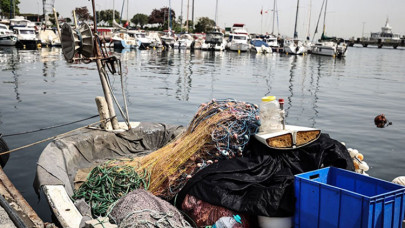 Küçük balıkların avlanması Marmara'daki ekosistemi tehdit ediyor