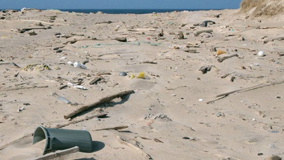 Kanada'nın Robinson Crusoe'su ıssız adada plastiklerle mücadele ediyor