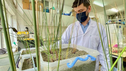 Arıtılan atık sudan sera için elektrik üreten sistem geliştirildi