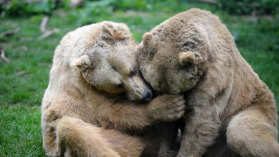 Mutlu ve keyifliler!