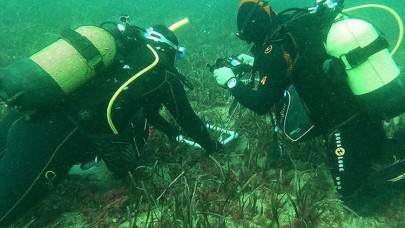 Ege'nin su altı zenginliği "deniz çayırları" kayıt altına alınıyor