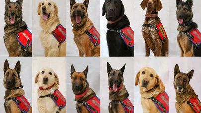 'Süper burunlar' suçu önlüyor