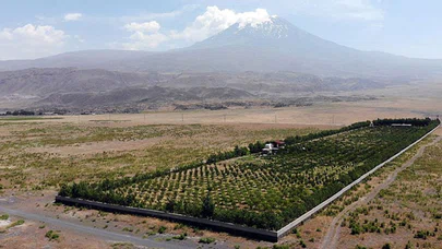 Ağrı Dağı eteklerindeki çorak araziyi vahaya dönüştürdü