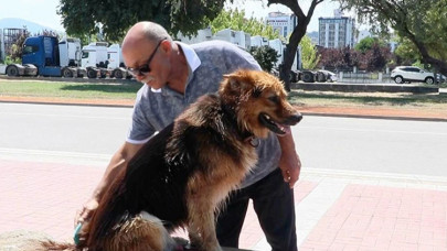 Köpek 'Dost'un ünü kafenin önüne geçti