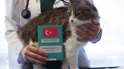 Hayvanlarda dijital kimlik için son tarih 31 Aralık