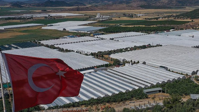 Çevreci ve ekonomik jeotermal seralar yüzde 400 büyüdü